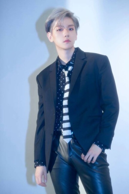  [엑소/백현] 엑소 백현, 첫 솔로앨범 하이라이트 메들리 공개..웰메이드 음악 기대