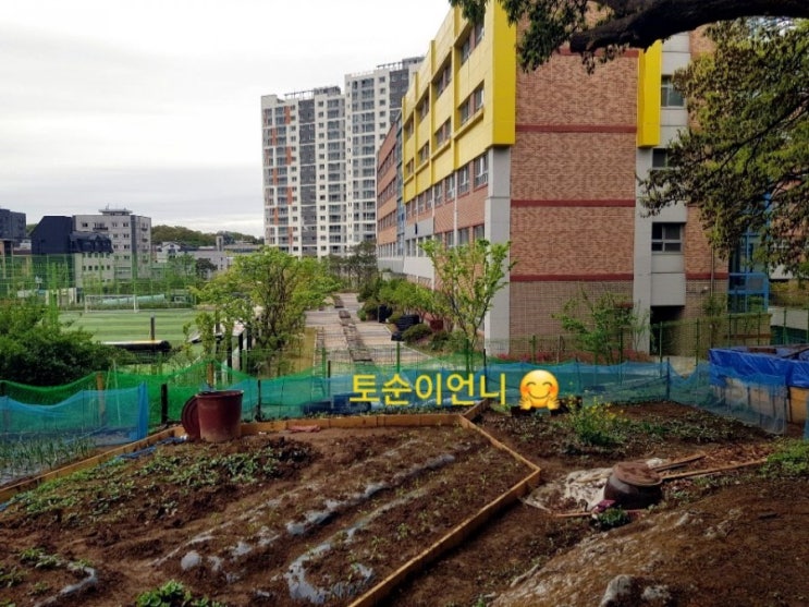   서울땅매매  서울토지매매 ~!  귀한매물 서울시 송파구 금이동땅  500평 토지분양합니다