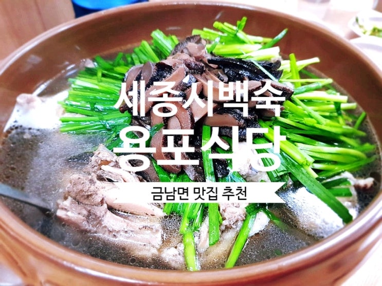 [세종시 백숙 맛집] #용포식당에서 능이 백숙 몸보신