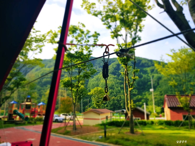  자라바위오토캠핑장(19.07.05~19.07.07)