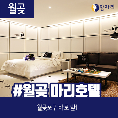  [상시모집] 월곶 마리 호텔 체험단 모집