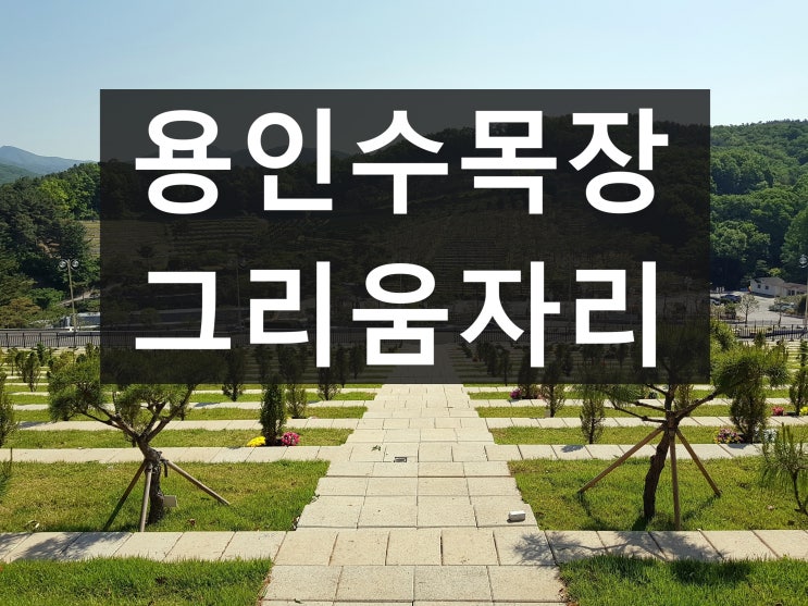  용인수목장 가격이 저렴하고  편안합니다.
