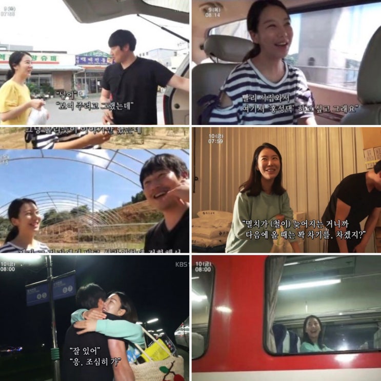  KBS1．인간극장
