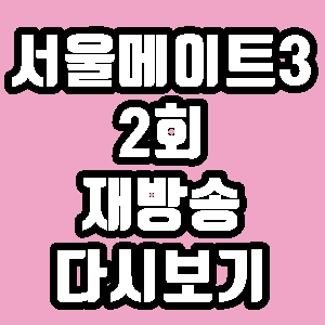  서울메이트3 미국 도넬가족 스웨덴 안톤 2회 재방송 다시보기 방송시간 편성표