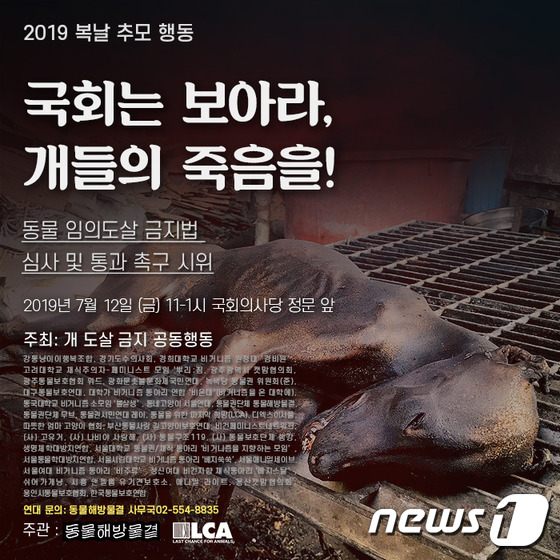 "개고기 그만" 킴 베이싱어, 초복에 한국 온다…'복날추모행동' 참석 "개고기 그만" 킴 베이싱어, 초복에 한국 온다…'복날추모행동' 참석
