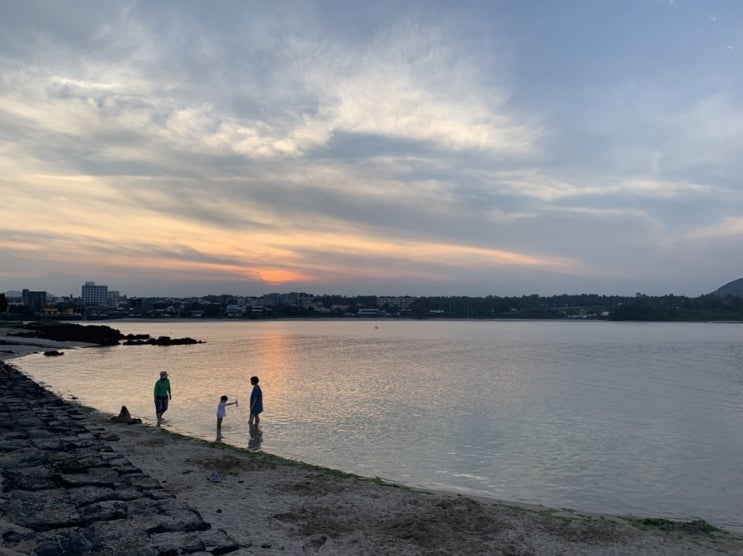  제주도 해변근처 숙소 오캄스테이. 제주도 표선해수욕장 근처 제주도 소금막해변 근처 숙소 오캄스테이.