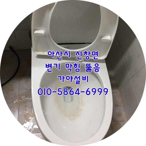  아산 신창면 읍내리 순천향대학교 근처 원룸화장실변기막힘 막힌변기 변기에OO이 들어갔어요 꺼낼수있나요?
