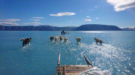 영하 70도 '대한파' 불러온다..북극 녹여버린 온난화의 역설 