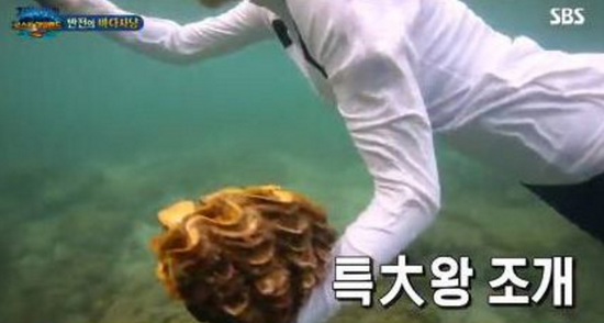  정글의 법칙', 대왕조개 논란 더욱 커져... 태국 측, "경찰에 고발... 철회 NO"   