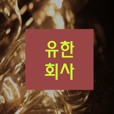  유한회사 설립 절차 확인하시고 진행하세요!