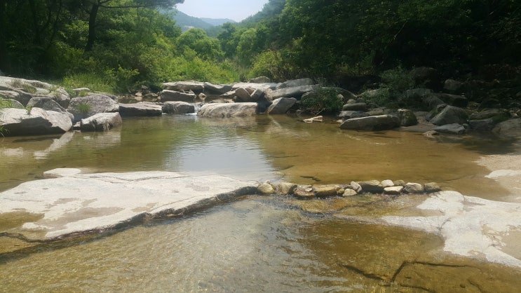  삼복(三伏, 초·중·말복)과 더위
