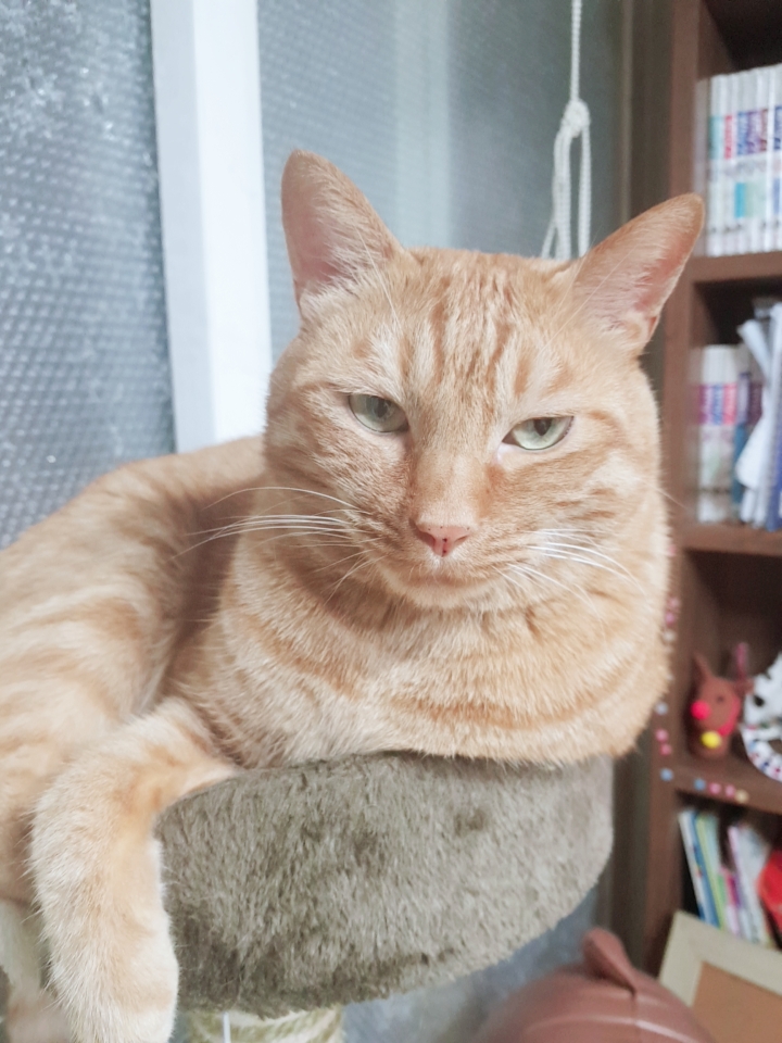  해축갤
