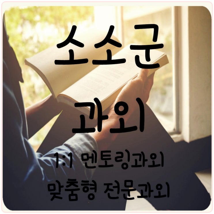  성내동 암사동 성내중수학과외 신암중영어과외 강일중회화수업 내신 성적올리기 방학 공부계획 방문수업