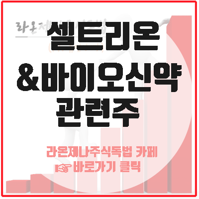  바이오 신약 관련주들의 진정한 바닥은 언제인가. (Ft. 셀트리온)