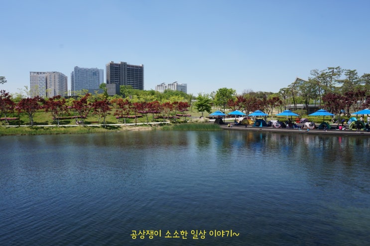  세종시 호수공원 아이와 가볼만한곳 이만한 곳 또 있나요.