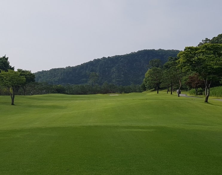  곤지암CC 라운딩후기('19.7월)