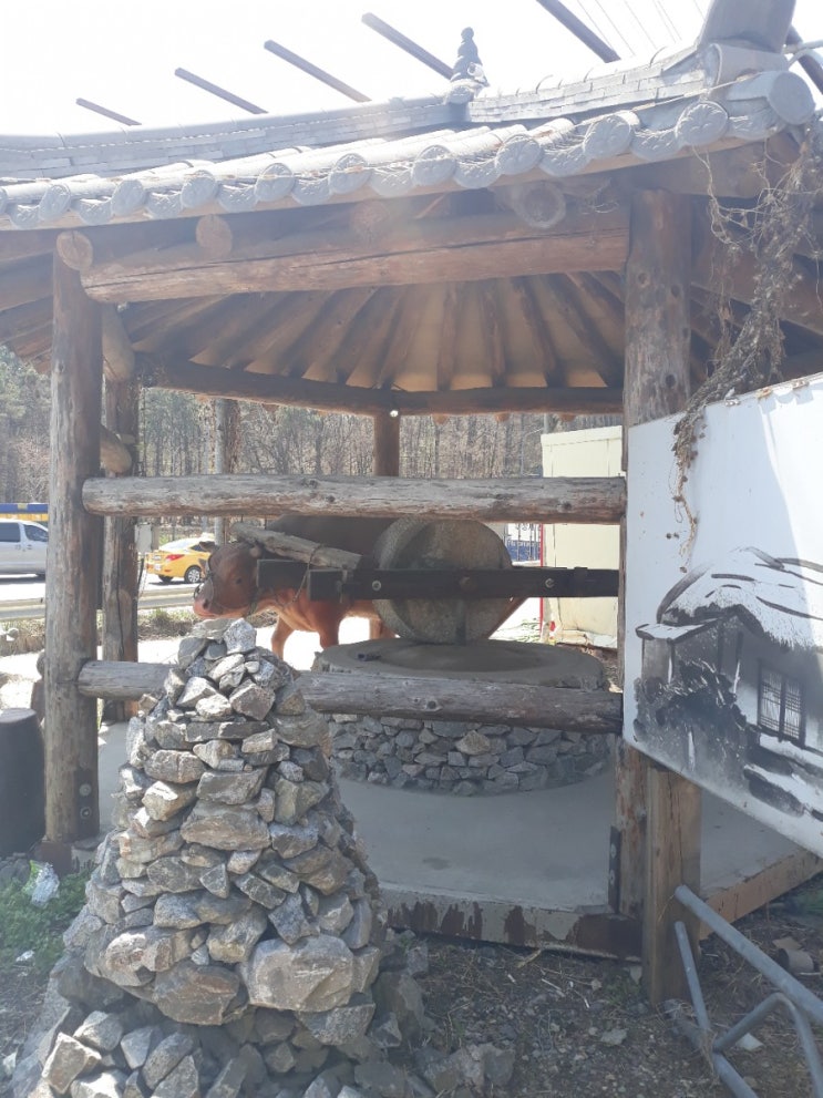  파주 오가네 추어칼국수 어죽
