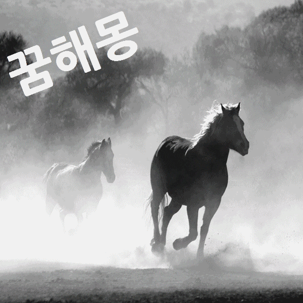  흑마꿈 말똥꿈 백마꿈 꿈해몽 정리