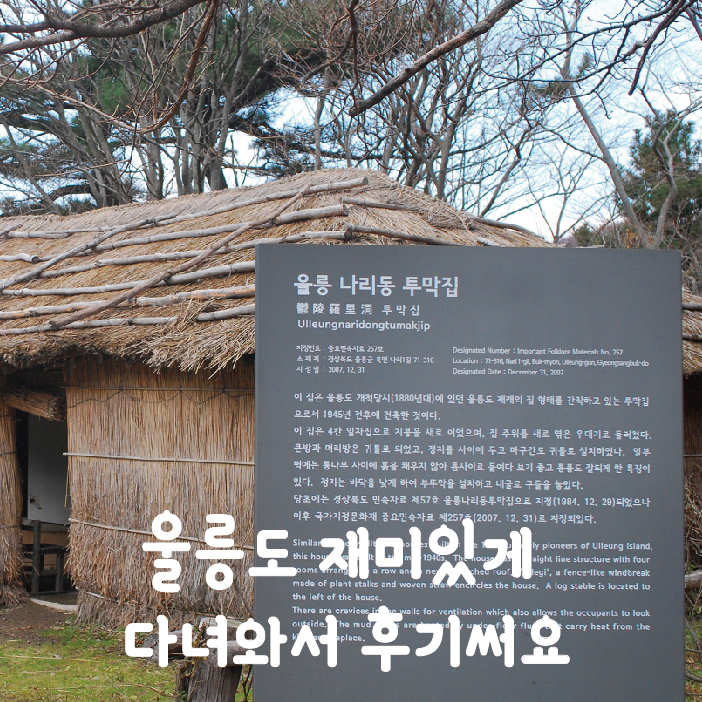  울릉도패키지 재미있게 다녀와서 후기글남겨요