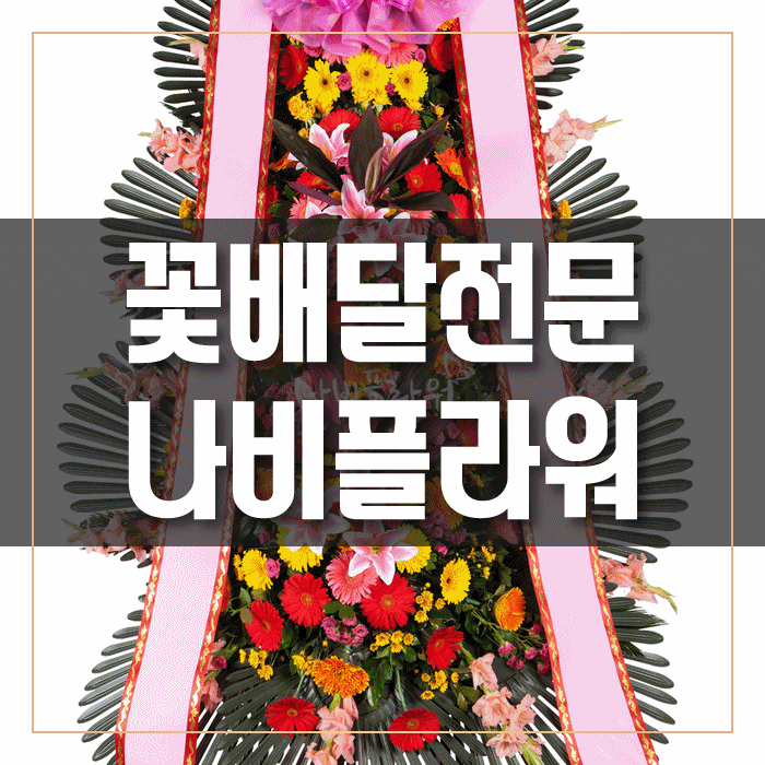  전국 꽃배달 전문업체 나비플라워와 함께 알아보는 집들이,개업,이전,결혼,장례,약혼,행사,취임,승진,생일,기념일 등에 사용되는 선물용 꽃과 식물의 용도~