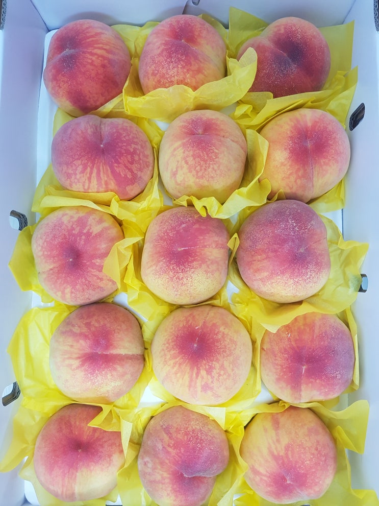  김천 복숭아, 자두 맛있다.