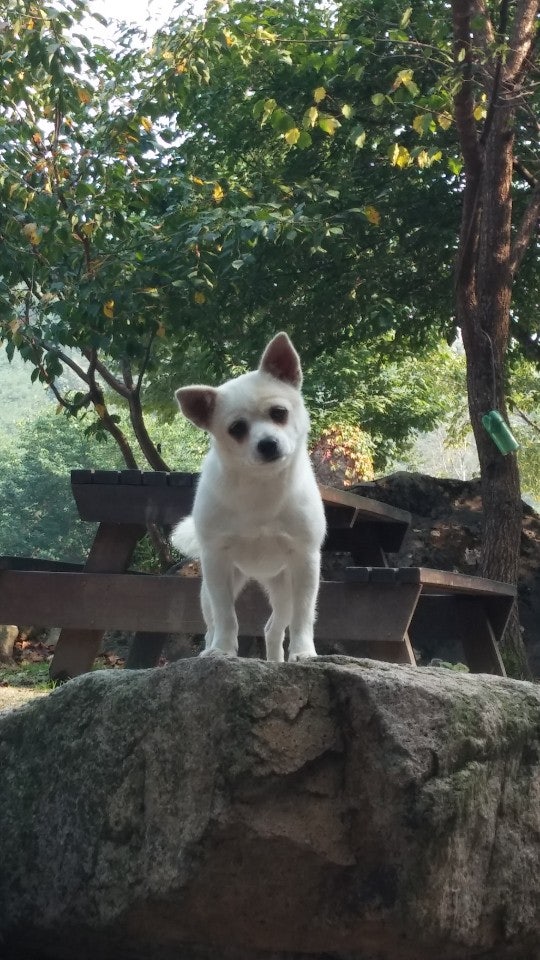 장선골산장 사진 1