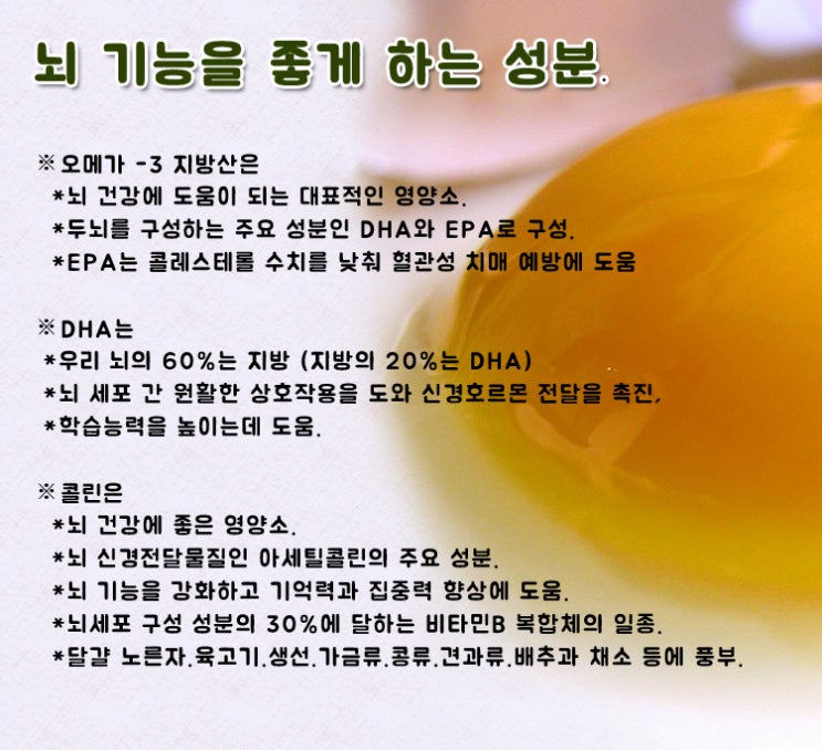  뇌기능을 좋게 하는 식품.
