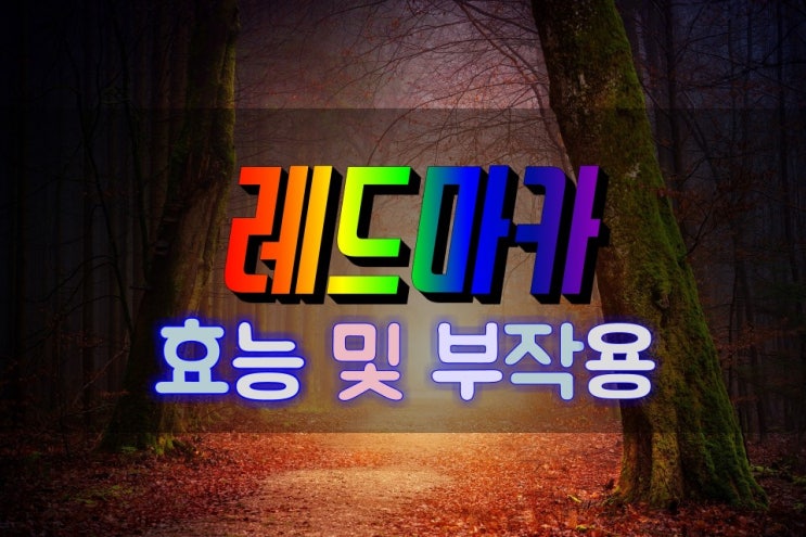  안데스의 산삼 레드마카 효능 및 부작용 살펴보기