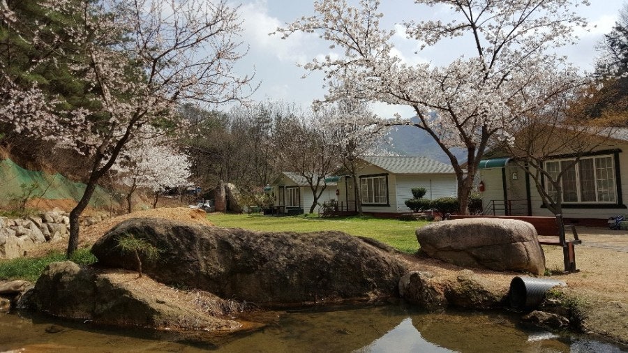 장선골산장 사진 3