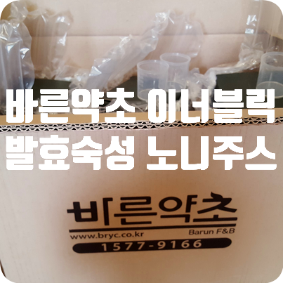  바른약초 이너블릭 발효숙성 노니주스원액-건강생각ㅎ