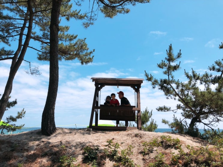  [강릉 캠핑장] 연곡솔향기캠핑장에서 9번째! 캠핑Camping #2 ~