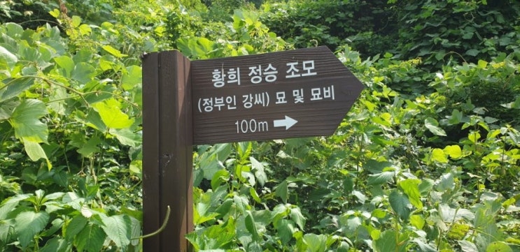  11. 황희정승조모 진주강씨 묘