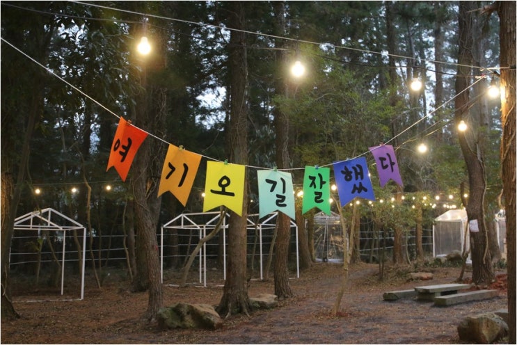  제주도 야시장 핫한 밤을 보내고 싶다면 수목원길 야시장