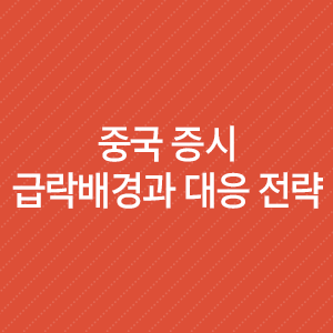  중국 증시 급락배경과 대응전략