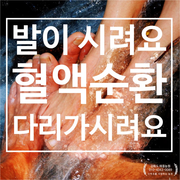  [다리가시려요] 발 혈액순환에 좋은 쑥물 쑥액기스