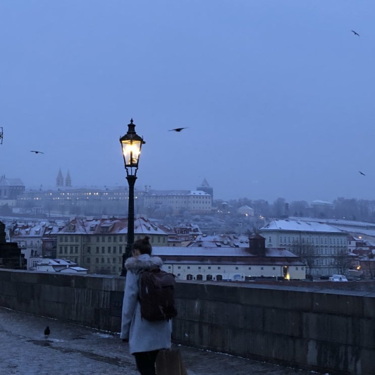  2019.01 Praha, Czech