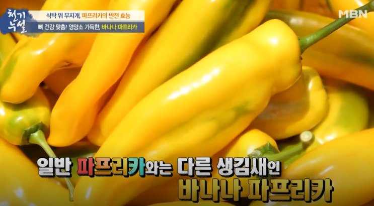  바나나파프리카는 골다공증에 좋데요. 파프리카 손질법과 보관법 건강하게 먹는법도 배워요.