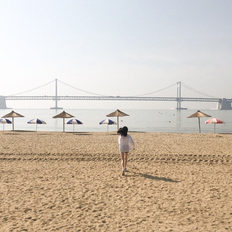 민알 부산 원정출사 민알 부산 원정출사
