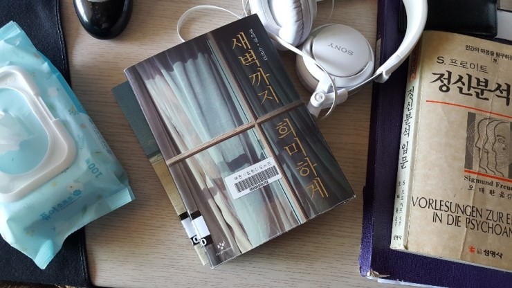  새벽까지 희미하게, 정미경