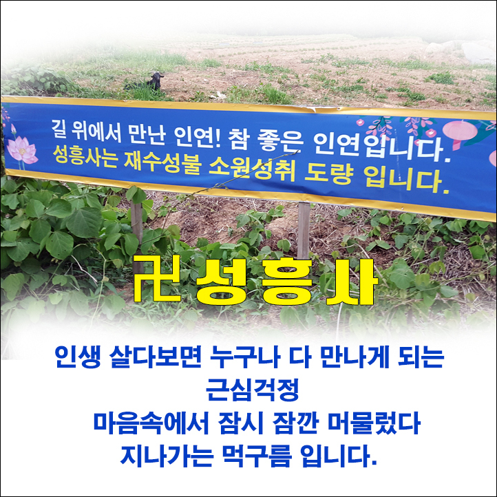  #보령점집 까지 소문났어요! 성흥사 영통력 대단하닷