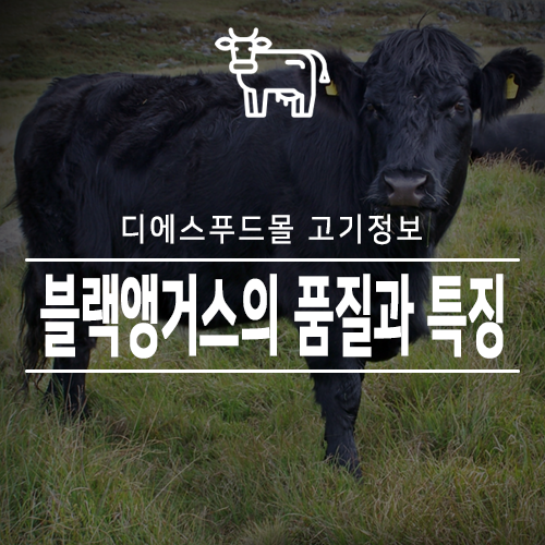  [디에스푸드몰 고기정보]블랙앵거스의 품질과 특징