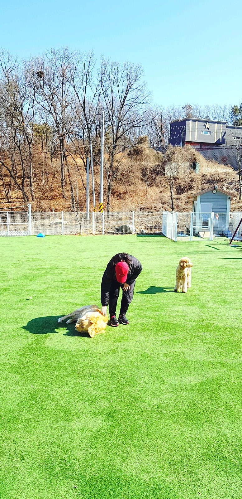 사진 8
