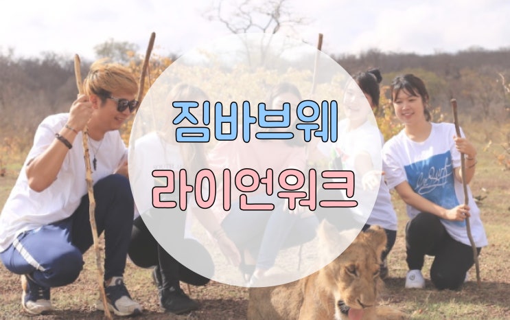  짐바브웨 빅토리아폭포 여행 후 사자랑 같이 걷고 만져봄 !! (feat.라이언워크)