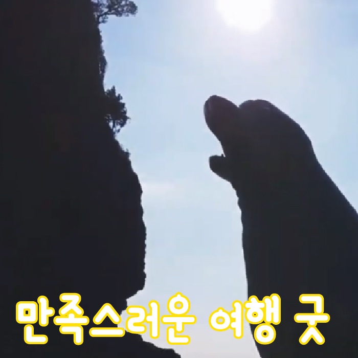  울릉도굿투어 너무 만족스러운 여행 굿