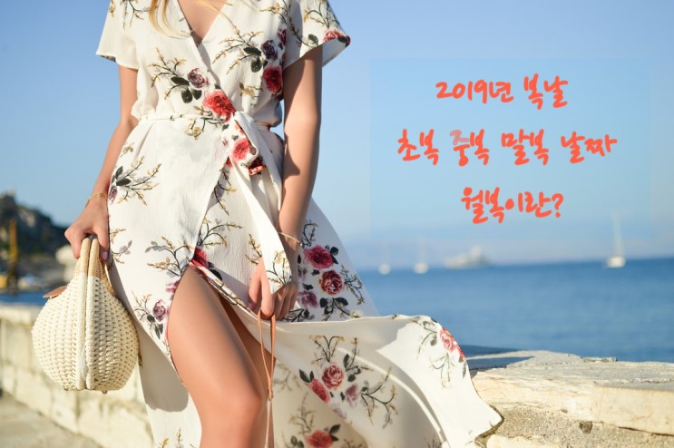 2019년 복날  삼복 더위 초복 중복 말복 날짜 와 월복이란?