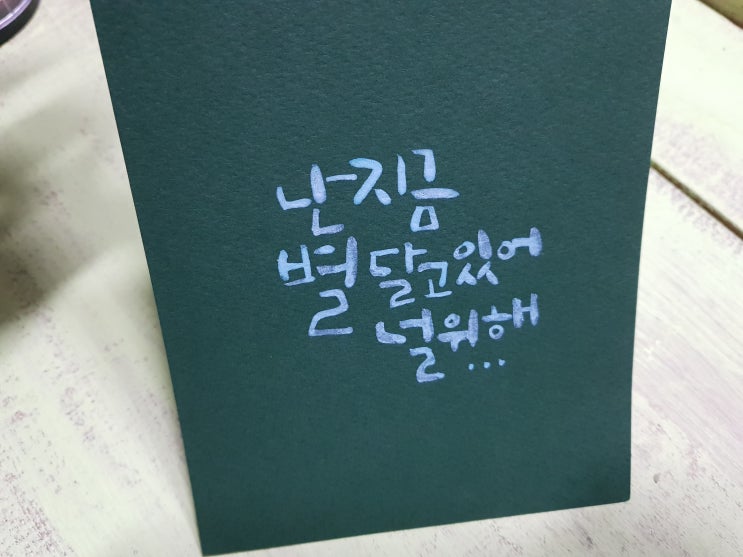  달밤에  햇감자같은 형제의 꽃봄 방문기