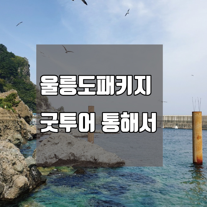  울릉도패키지 굿투어 통해서 가면 좋아요