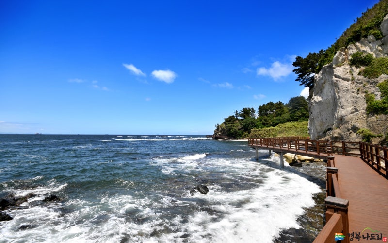 바다를 끼고 걸어보는 최고의 해안둘레길 선바우길 :: 가족여행, 주말여행, 경북여행, 바다여행, 여름여행, 포항여행, 경북가볼만한곳 : 네이버 블로그