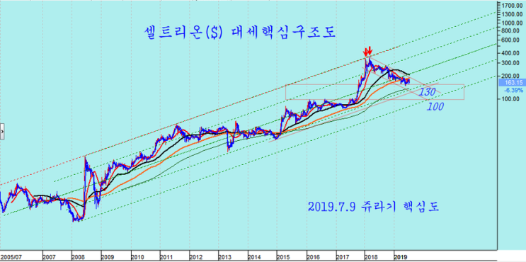  2019.7.9  셀트리온 급락, 향후 매수권 가격은 ? 