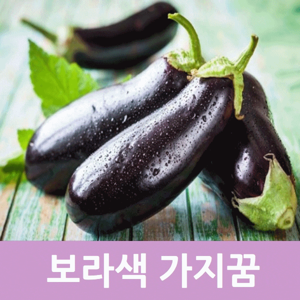  보라색 가지꿈 꿈해몽